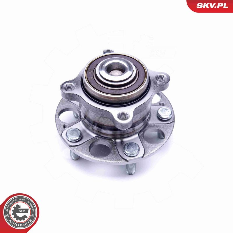 ESEN SKV 29SKV239 Wheel Bearing Kit
