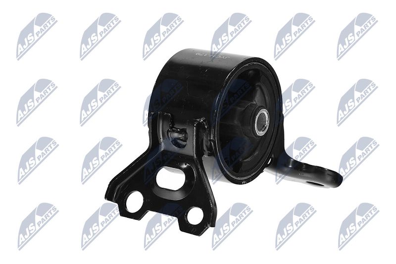 Paigutus, Mootor, NTY ZPS-CH-179