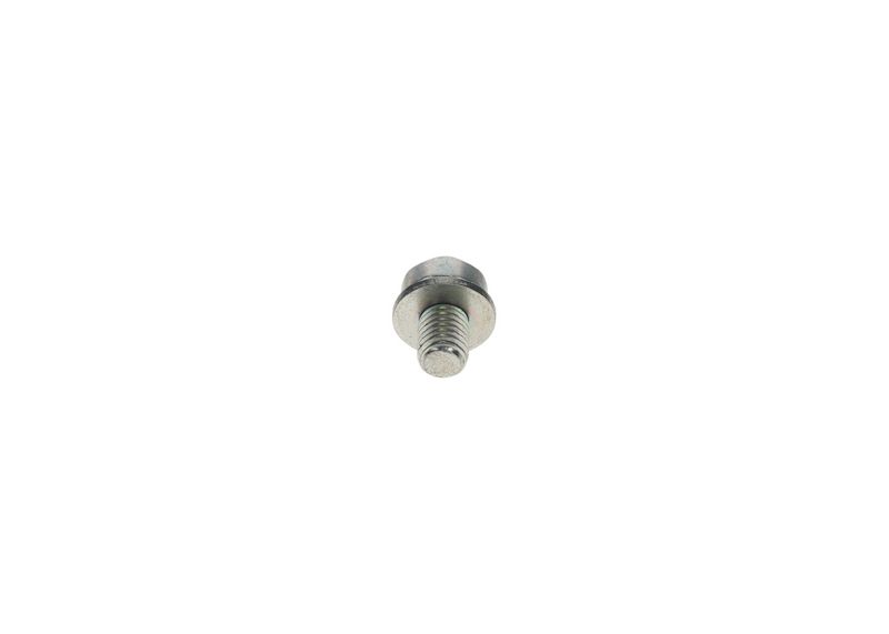 BOSCH F002D13663 Screw