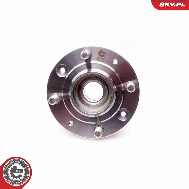 ESEN SKV 29SKV026 Wheel Bearing Kit