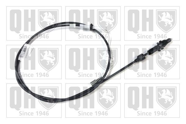 QH_QTC4048.JPG