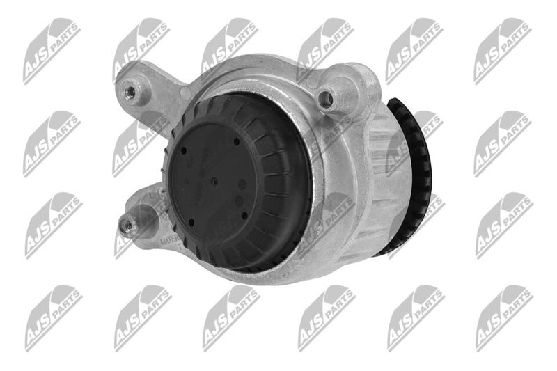 Paigutus, Mootor, NTY ZPS-ME-043