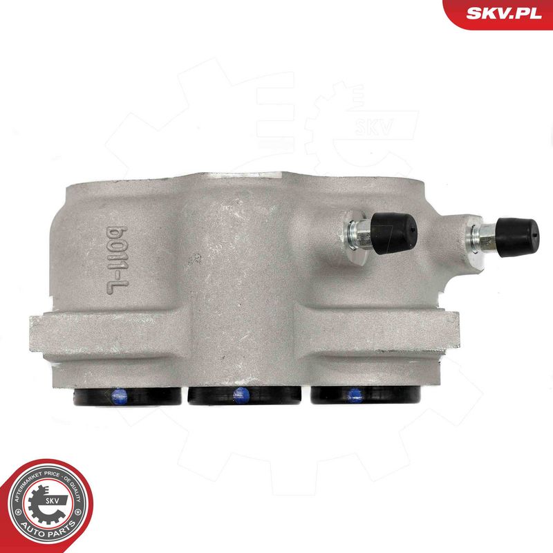 Pidurisadul, ESEN SKV 67SKV181