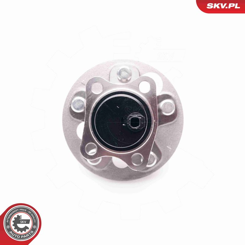 ESEN SKV 29SKV103 Wheel Bearing Kit