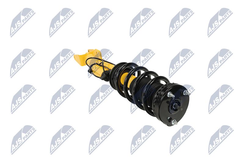 Amort, NTY A-CH-122