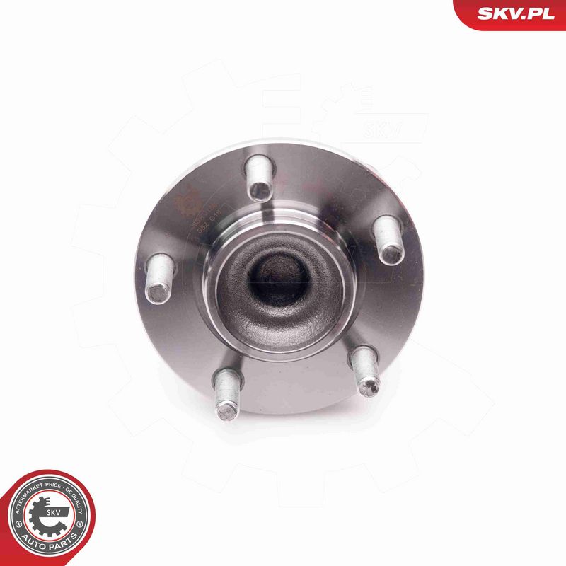 ESEN SKV 29SKV166 Wheel Bearing Kit