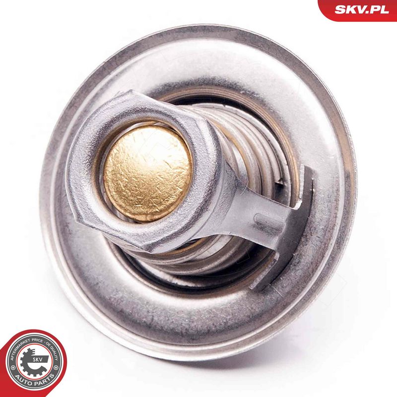 Termostaat, Jahutusvedelik, ESEN SKV 20SKV058