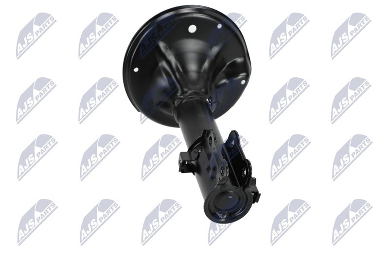 Amort, NTY A-HY-523