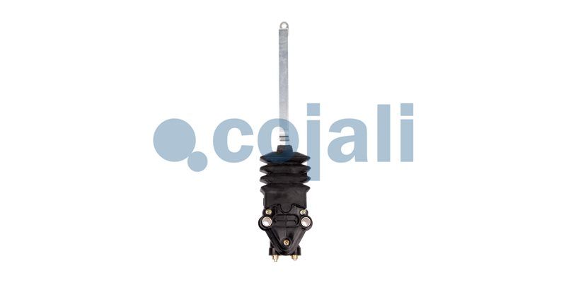 Supapa perna aer COJALI 2214519