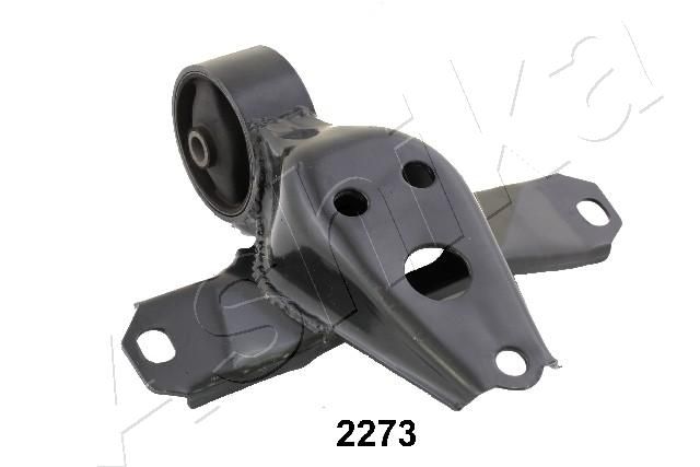 GOM-2273_1.JPG