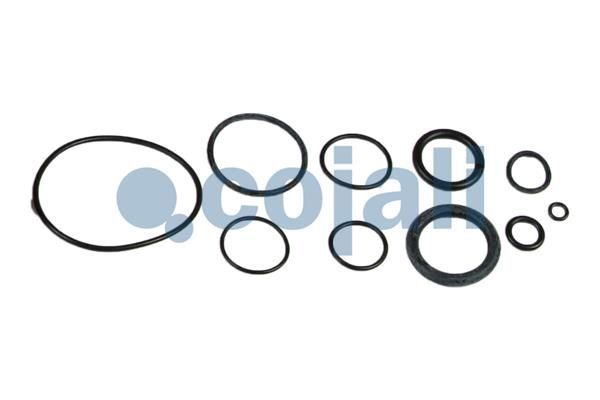 Opravná sada spojkového posilovače 6032118