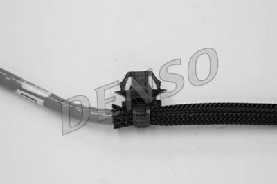 DOX_0308_104279.JPG