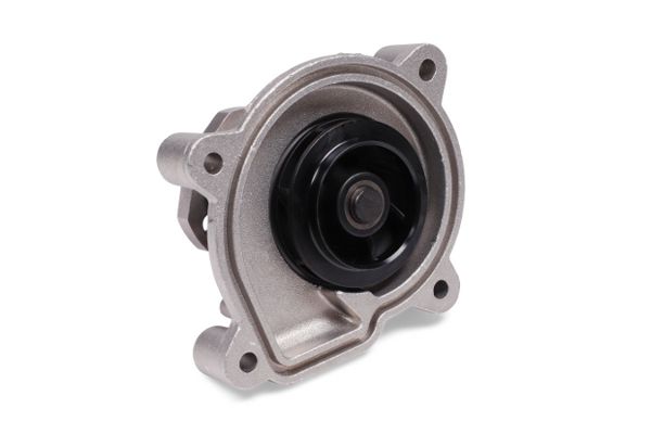 P573 (2).JPG