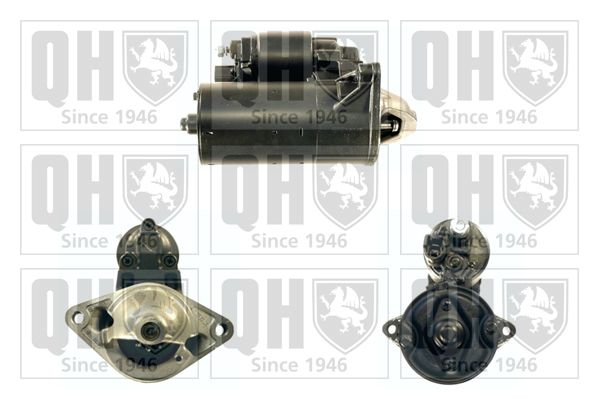 QH_QRS1734_GRUPPE.JPG