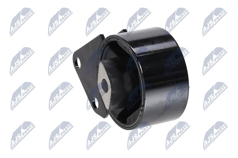 Paigutus, Mootor, NTY ZPS-CH-064