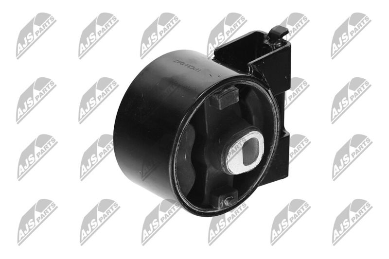 Paigutus, Mootor, NTY ZPS-CH-047