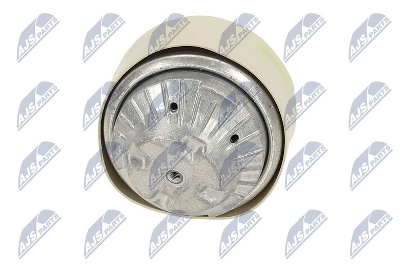 Paigutus, Mootor, NTY ZPS-ME-100