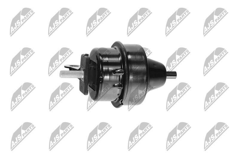 Paigutus, Mootor, NTY ZPS-BM-035