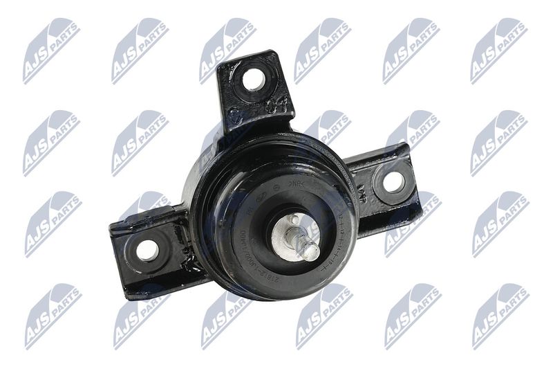 Paigutus, Mootor, NTY ZPS-KA-325