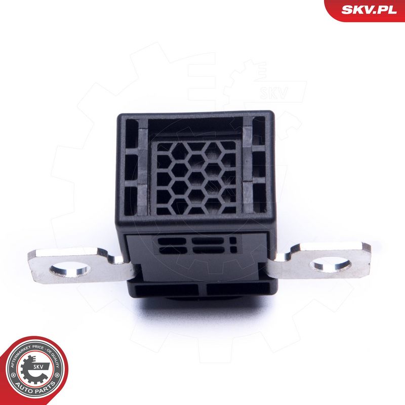 Ülepinge kaitseseade, generaator, ESEN SKV 96SKV318