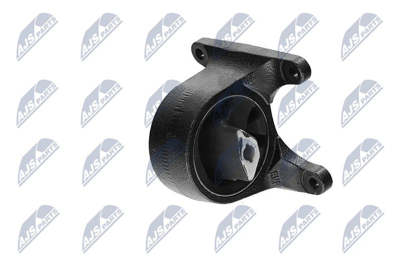 Paigutus, Mootor, NTY ZPS-CH-008