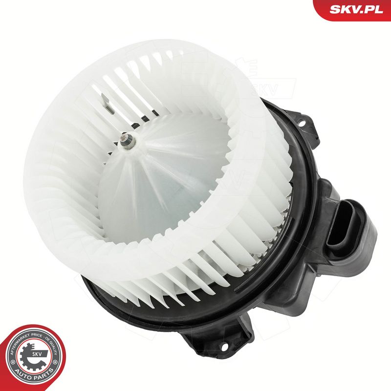 Salongipuhur, ESEN SKV...