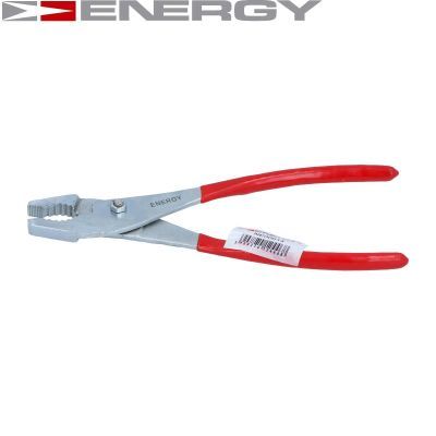 Гострозубці, Energy NE00614