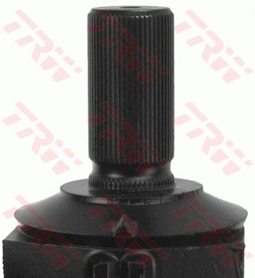 0161JRM446_1.JPG