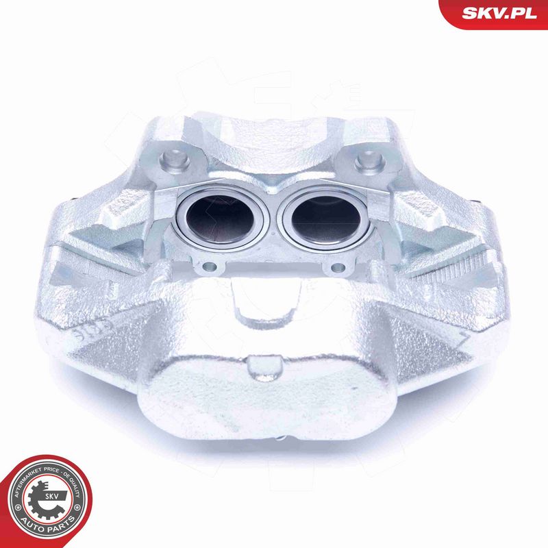 ESEN SKV 45SKV501 Brake Caliper