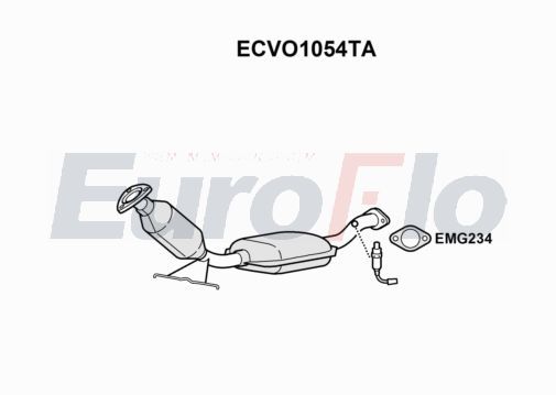 ecvo1054ta.JPG