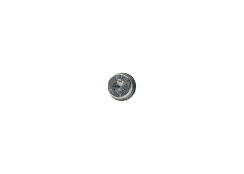 BOSCH F002D13663 Screw