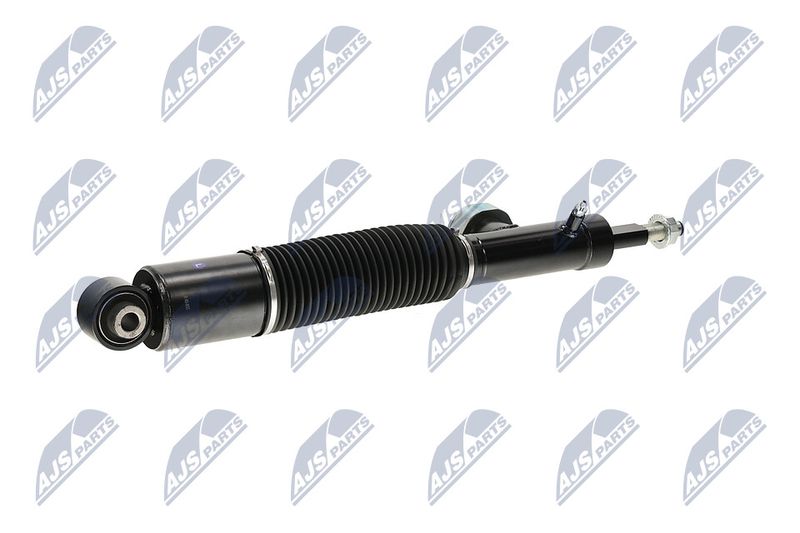 Amort, NTY A-NS-055