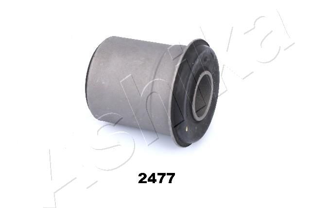 GOM-2477_1.JPG