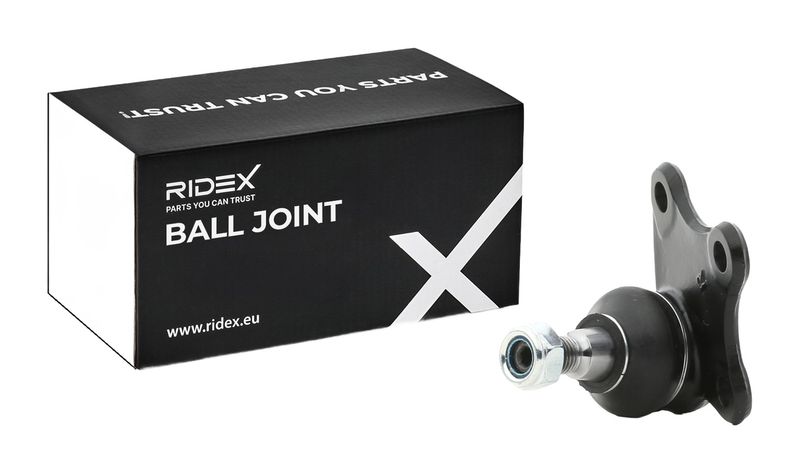 Шарнири RIDEX