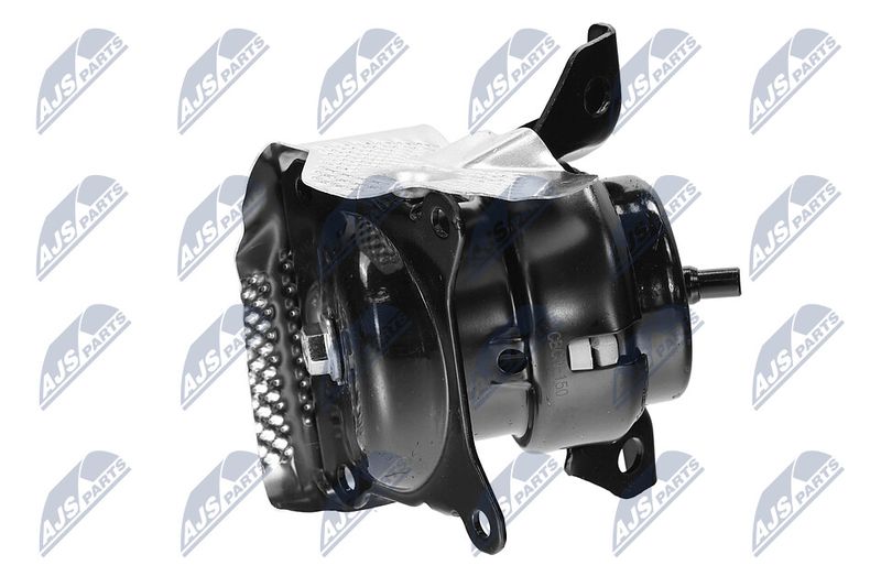 Paigutus, Mootor, NTY ZPS-CH-150