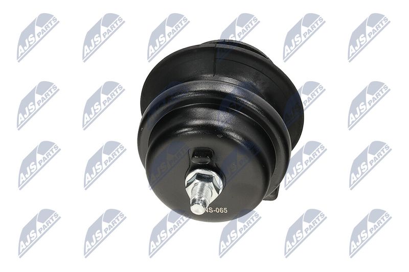 Paigutus, Mootor, NTY ZPS-NS-065