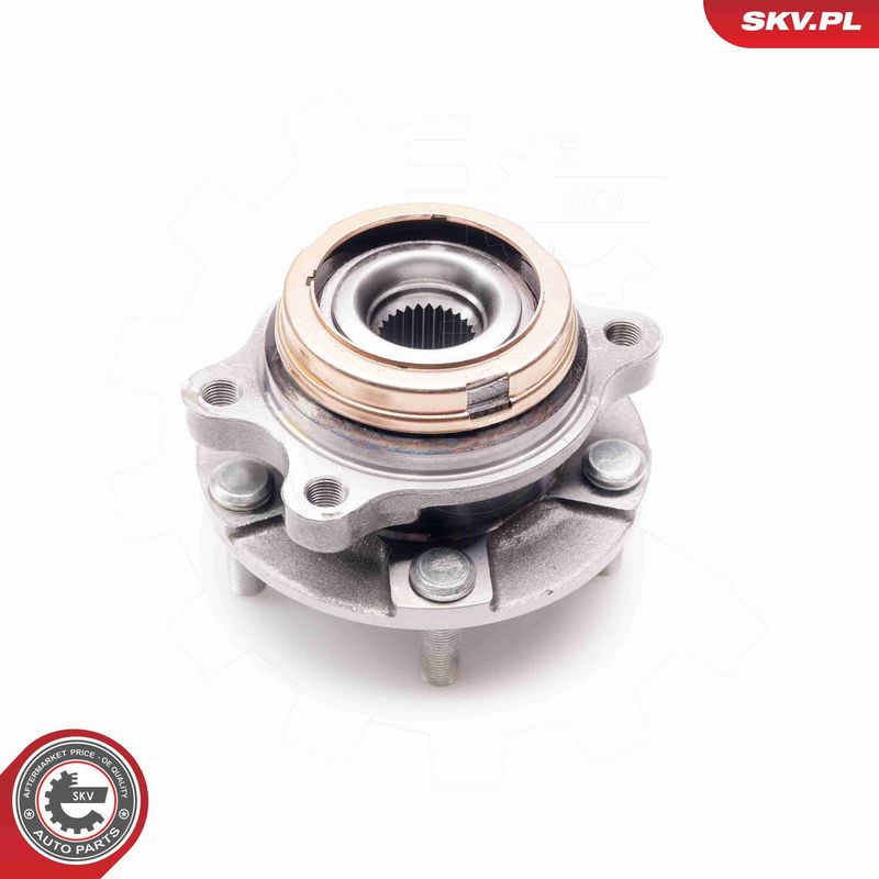 ESEN SKV 29SKV134 Wheel Bearing Kit