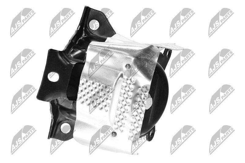 Paigutus, Mootor, NTY ZPS-CH-150