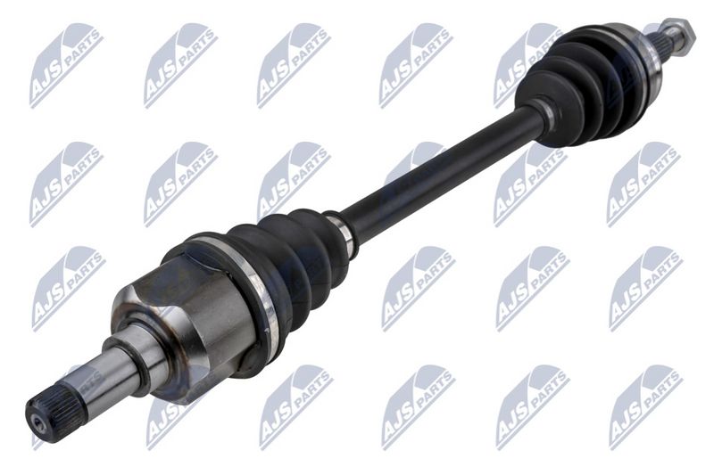 NPW-PE-119_1-WM.JPG
