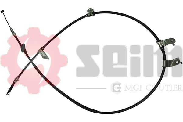 555168.JPG