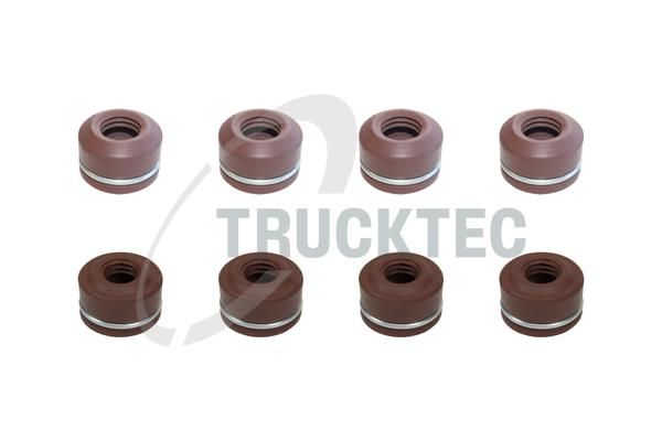 TRUCKTEC AUTOMOTIVE 02.43.151 - Vožtuvų riebokšlių komplektas