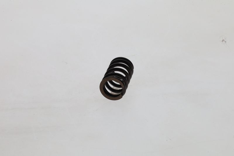 Arc 1 424 619 025 BOSCH