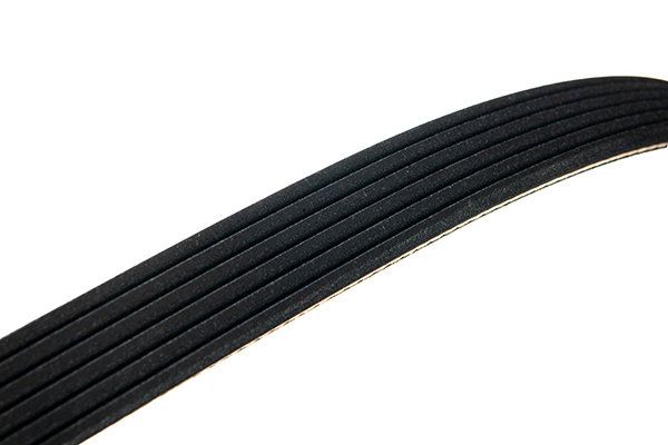 STELLOX 96-01018-SX V-ribbed Belt