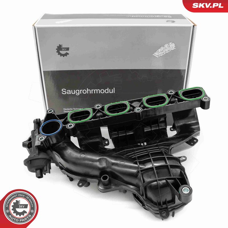 ESEN SKV 49SKV085 - Intake Manifold Module