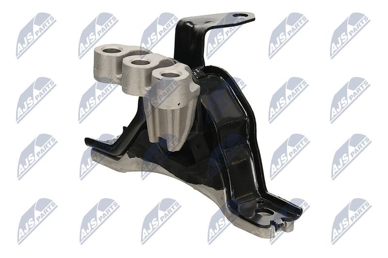 Paigutus, Mootor, NTY ZPS-PL-043