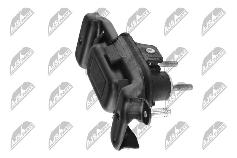 Paigutus, Mootor, NTY ZPS-CH-107