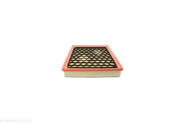 AUTOMEGA 180022010 Air Filter