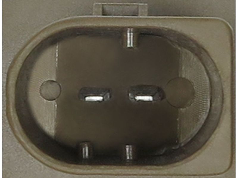 154871.JPG