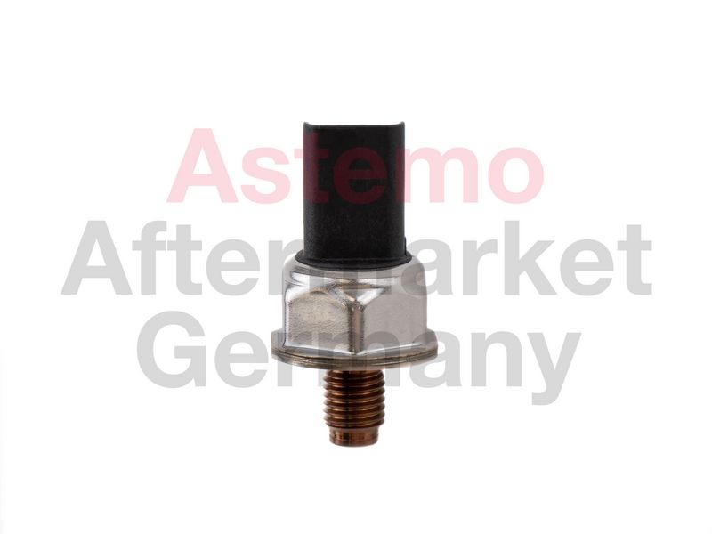 2501929_1.JPG