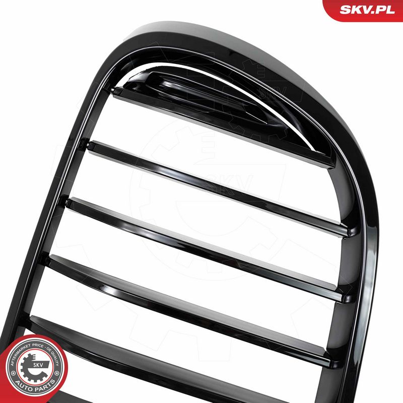 Radiaatorivõre, ESEN SKV 66SKV222